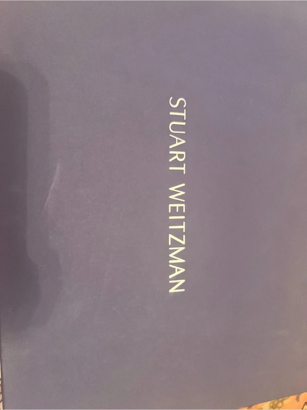 Stuart Weitzman sleek over
